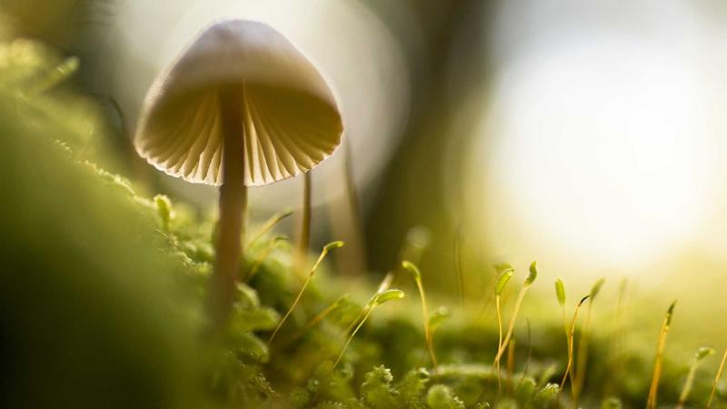 小宇与阿雅在狂射60秒挑战中击掌庆祝胜利